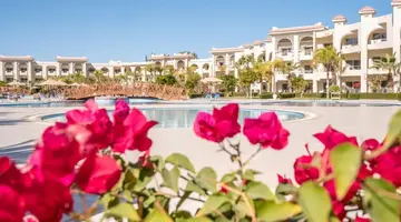 Serenity Alma Resort