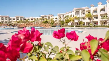 Serenity Alma Resort
