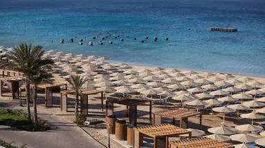 SERENITY SAHL HASHEESH