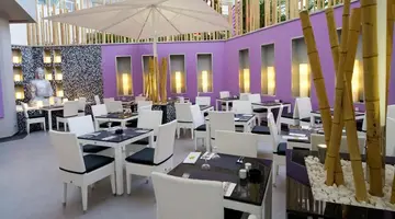 Servatur Don Miguel (Only Adults +18)