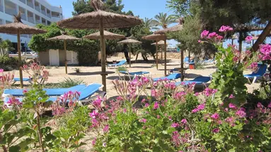 Ses Savines Hotel