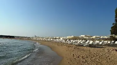 SH Dolce Vita