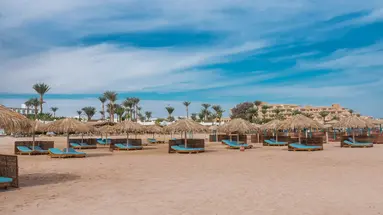 SHAMS LODGE