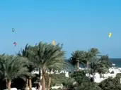 SHAMS SAFAGA