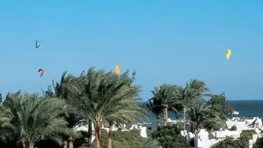 SHAMS SAFAGA