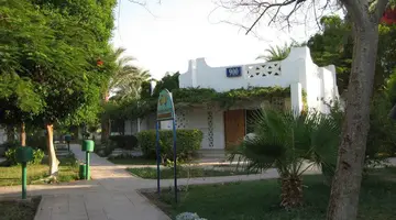 Shams Safaga