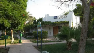 Shams Safaga