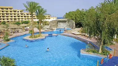 SHAMS SAFAGA