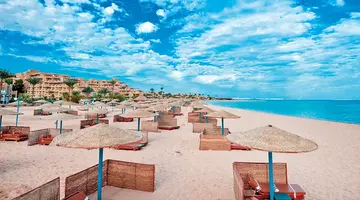 SHAMS SAFAGA