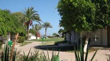Shams Safaga