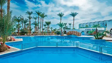 SHAMS SAFAGA