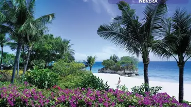 Shangri-La's Mactan Resort & Spa