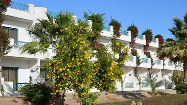 Sharm Cliff
