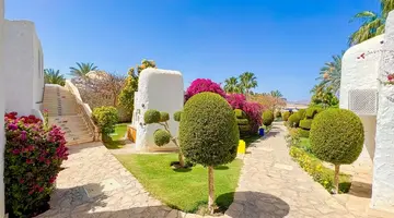 Sharm Club Beach Resort