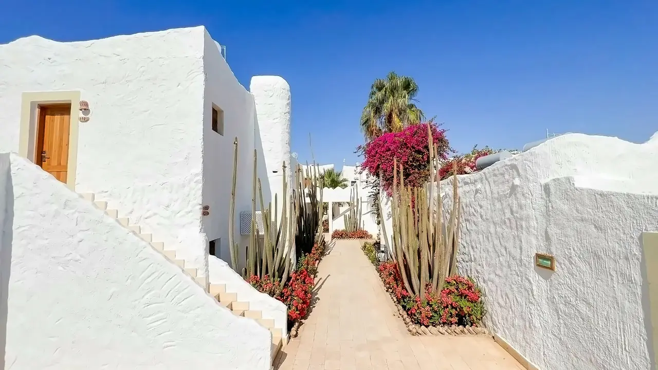 Sharm Club Beach Resort