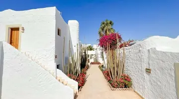 Sharm Club Beach Resort