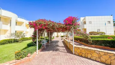 SHARM REEF HOTEL