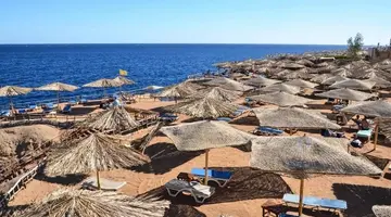 Sharm Reef