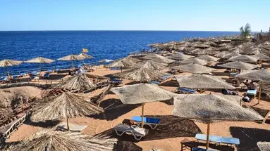 Sharm Reef