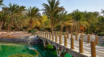Sheraton Miramar Resort El Gouna