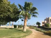 Shoni Bay Resort