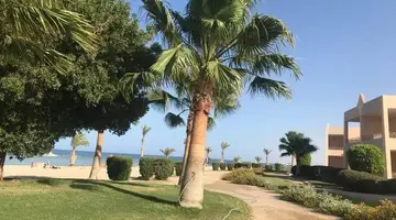 Shoni Bay Resort