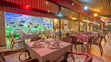 SIAM ELEGANCE