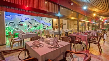 SIAM ELEGANCE