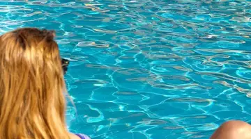 Side Alegria Hotel & Spa (Adults Only 18+)