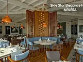 SIDE STAR ELEGANCE