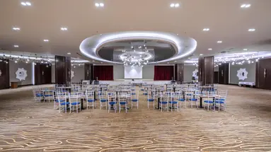 SIDEMARIN KIRMAN PREMIUM