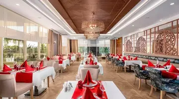 Sidera Kirman Premium