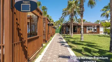 Sidera Kirman Premium