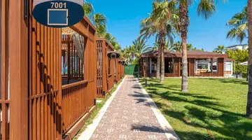 Sidera Kirman Premium