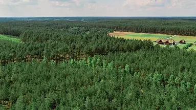 Siedlisko Milachowo