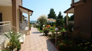 Siema
