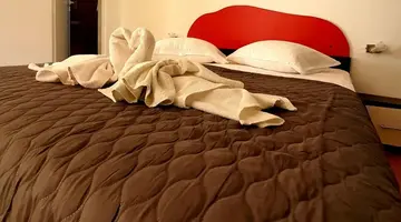 Siema