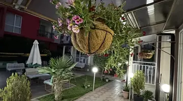 Siema