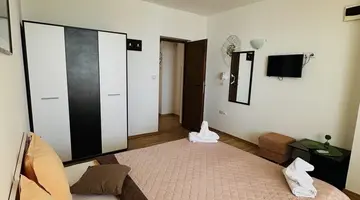 Siema