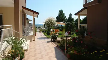 Siema