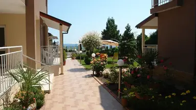 Siema