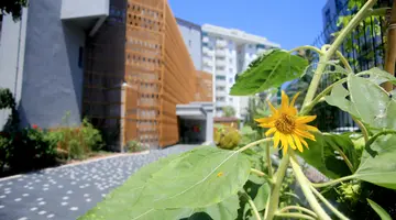 SIMPLY FINE HOTEL ALIZE
