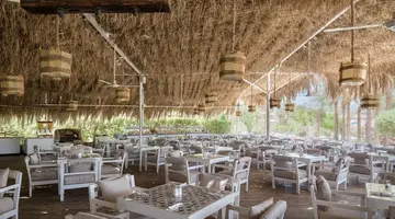 Sindbad Club