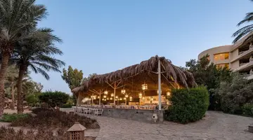 Sindbad Club