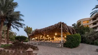 Sindbad Club