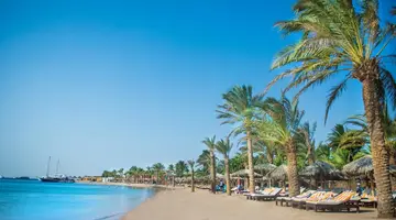 Sindbad Club