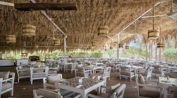 Sindbad Club