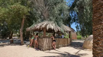 Sindbad Club
