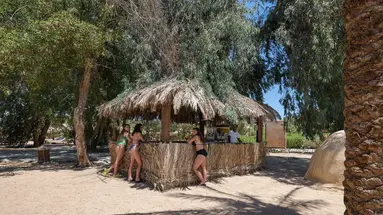 Sindbad Club