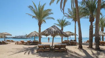 Sindbad Club